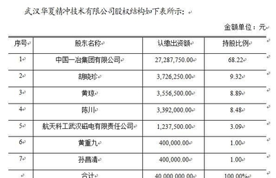 武汉精冲技术研发公司核心项目转让公告