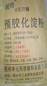 携手创新，共创未来 预胶化淀粉及制药技术全方位合作新机遇